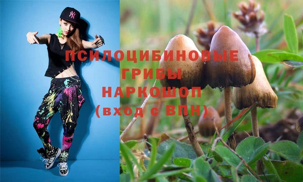 гашик Семилуки