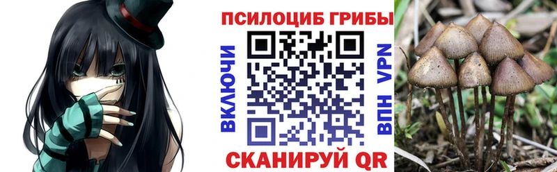 Галлюциногенные грибы мицелий  Гаврилов-Ям 