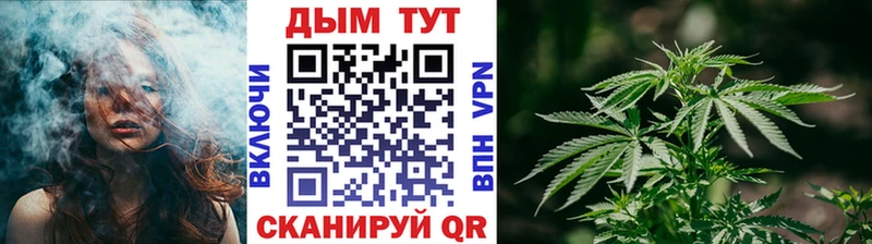 кракен онион  Гаврилов-Ям  Бошки Шишки индика 